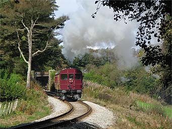 Passing Charlie's Gate on the Bodmin and Wenford Railway
