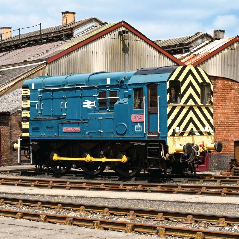 Limited Run Days - DIESEL