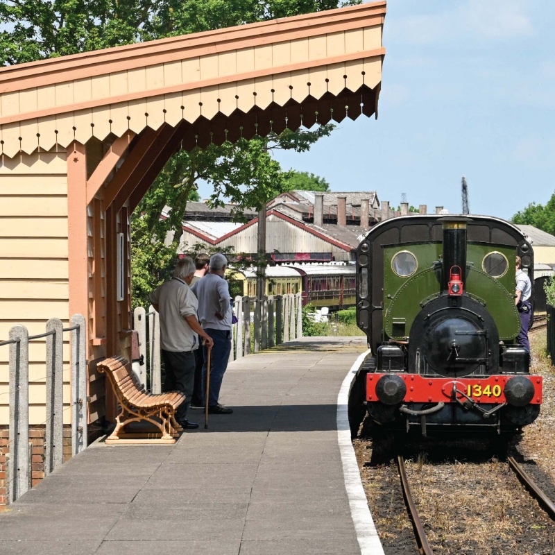 Limited Run Days - STEAM