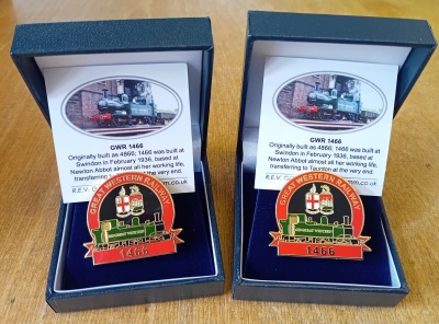 Limited Edition 1466 badge
